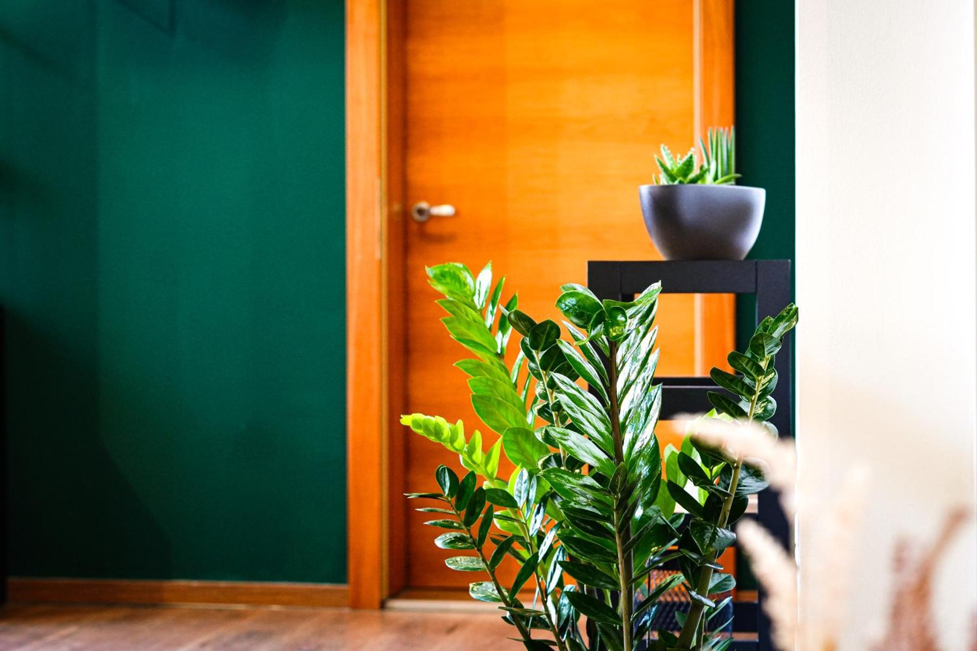 Alpenloft Bregenz Apartment Екстериор снимка